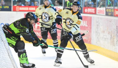 Hockey sur glace (match de préparation). Match arrêté pour les Wildcats d’Epinal à Strasbourg
