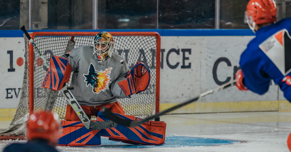 Hockey sur glace - Ligue Magnus. Commotionné, Matija Pintaric va manquer plusieurs matches avec Grenoble