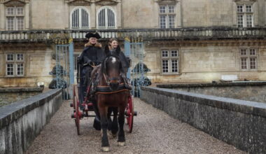 Fléville-devant-Nancy. « Le château, indispensable pour l’attractivité du territoire »