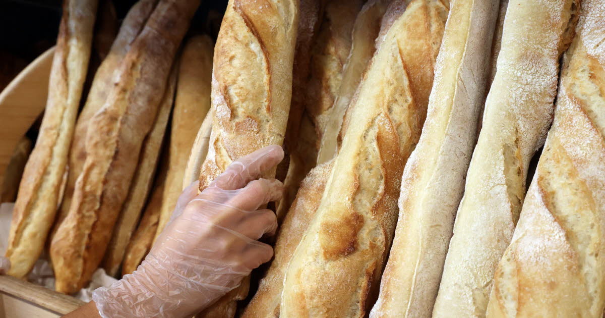 Foire européenne de Strasbourg 2025. Baguette de tradition française, croissant au beurre  : découvrez les lauréats !