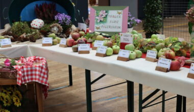 Eschau-Wibolsheim. La pomme sera reine à la Fête de l’automne