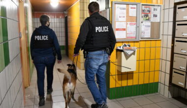 un Lyonnais de 25 ans condamné à du sursis probatoire