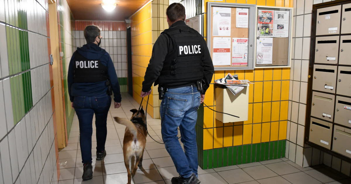 un Lyonnais de 25 ans condamné à du sursis probatoire