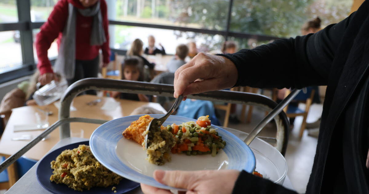 fermeture des cantines scolaires le jeudi 18 septembre