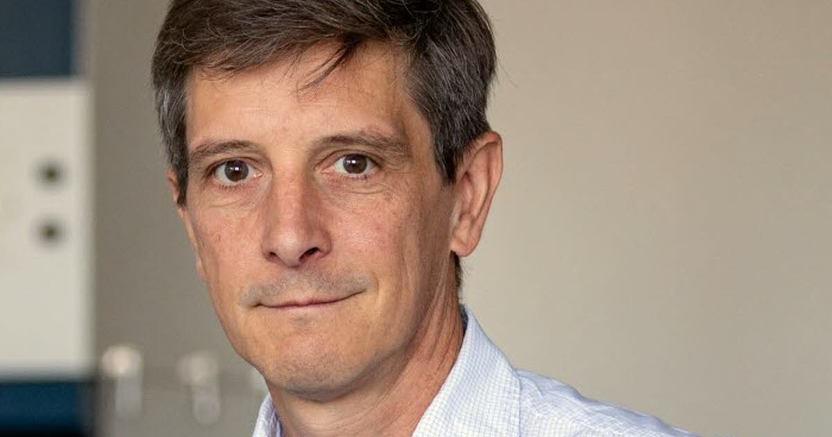 Viticulture. Une équipe strasbourgeoise tente de chasser la levure Brett, qui donne une odeur de sueur au vin