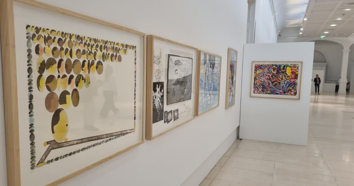 Nancy. Poirel, une salle mais aussi un lieu d’exposition