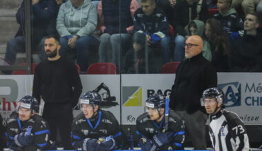 Hockey sur glace - Ligue Magnus. Les Rapaces de Gap recrute un défenseur en provenance des USA