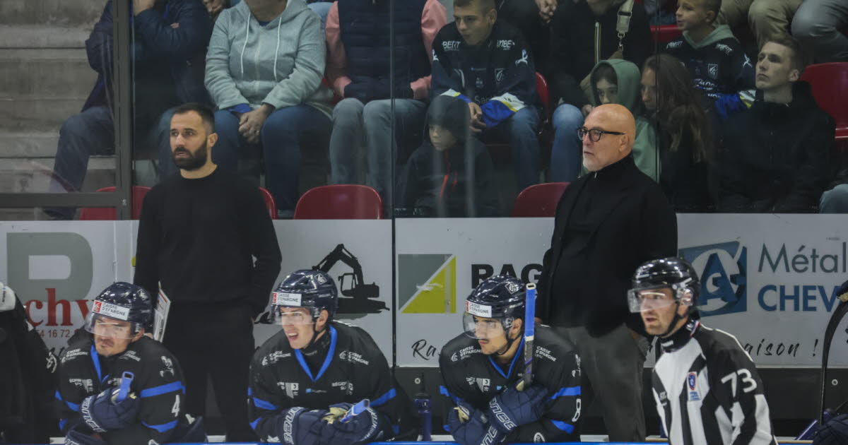 Hockey sur glace - Ligue Magnus. Les Rapaces de Gap recrute un défenseur en provenance des USA