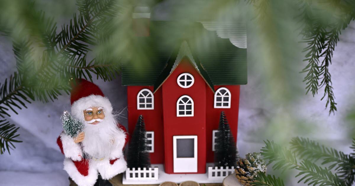 les guirlandes de Noël sont déjà dans les bacs