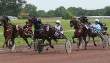 animations et compétition au programme