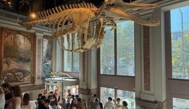 8 360 visiteurs au musée zoologique le week-end dernier