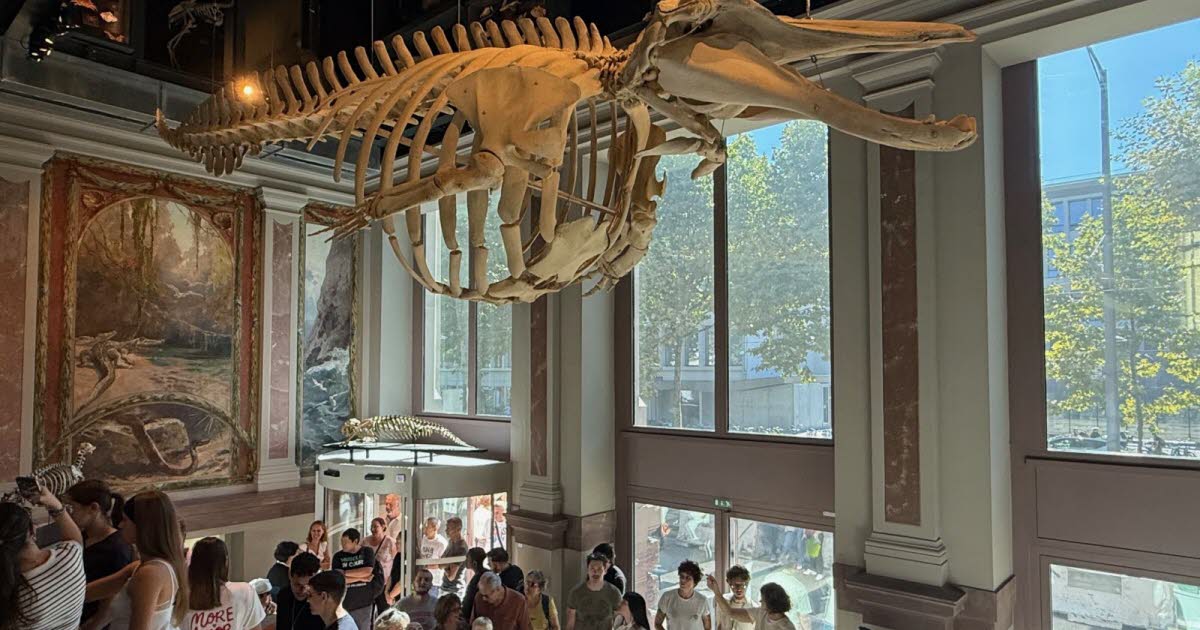 8 360 visiteurs au musée zoologique le week-end dernier