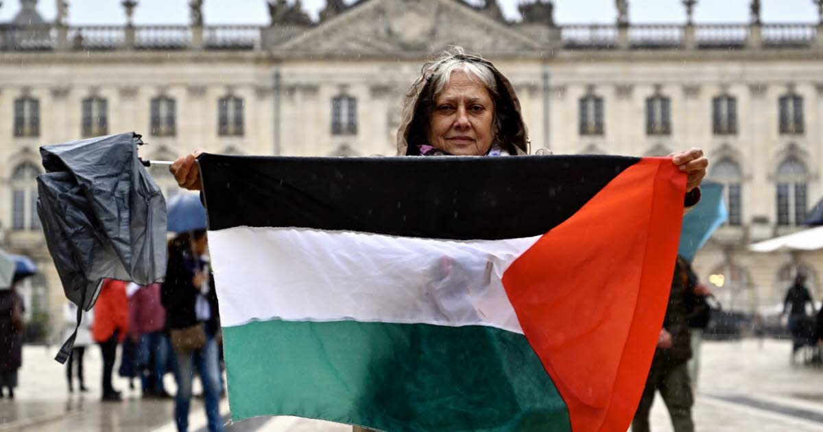 Nancy. 80 personnes à la manifestation pour la Palestine
