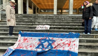 Grenoble. Une trentaine de manifestants pro Palestine devant la mairie