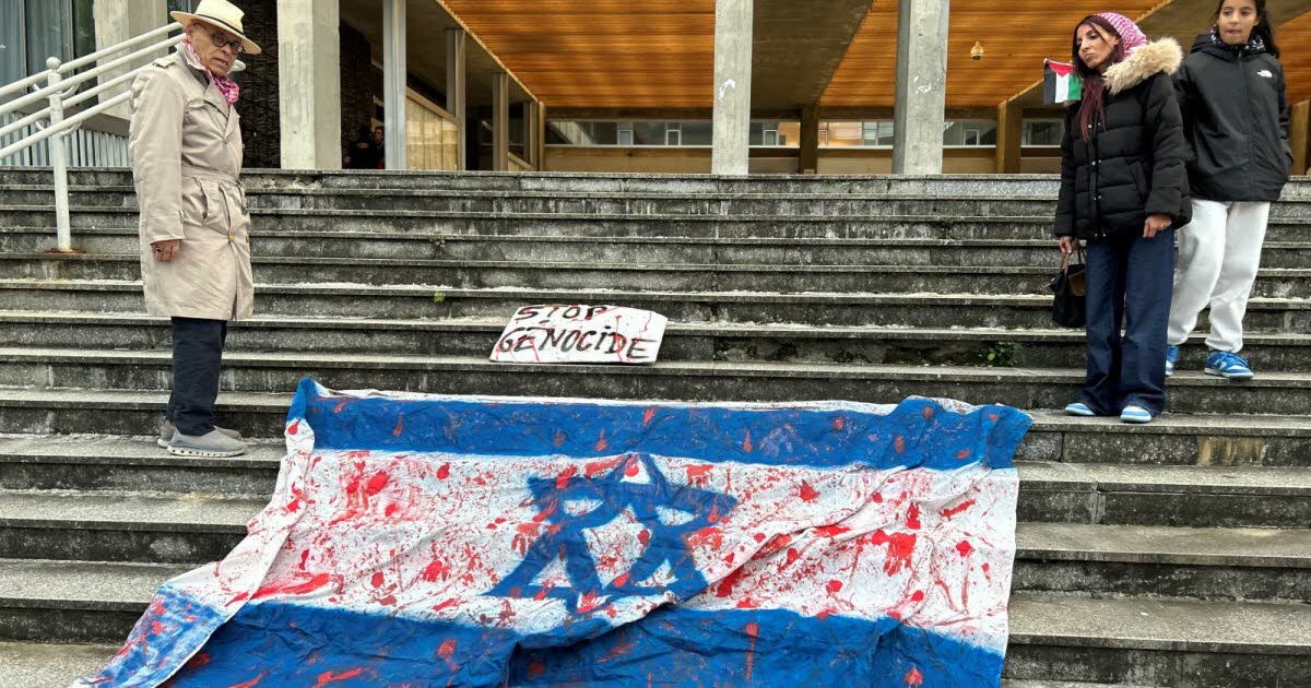 Grenoble. Une trentaine de manifestants pro Palestine devant la mairie