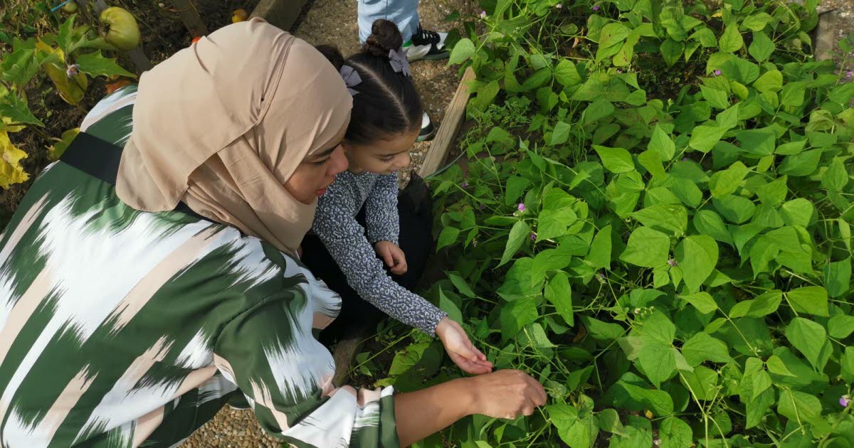 Bischheim. Trois jardins pédagogiques et familiaux mis à disposition des élèves
