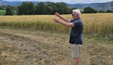 Roche-la-Molière. Retour sur ce hameau disparu, qui était autrefois le plus peuplé de la commune
