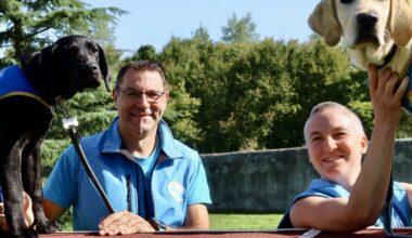 Saint-Chamond. 4 Pattes et 2 Mains recherche des familles pour futurs chiens d’assistance