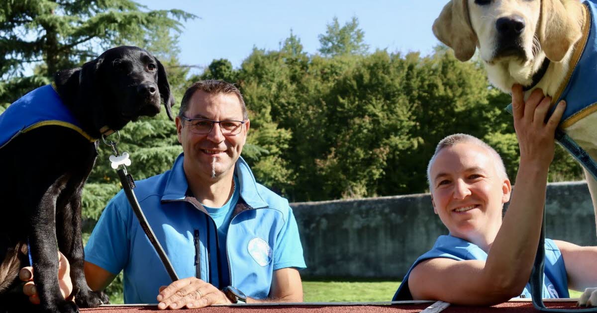 Saint-Chamond. 4 Pattes et 2 Mains recherche des familles pour futurs chiens d’assistance