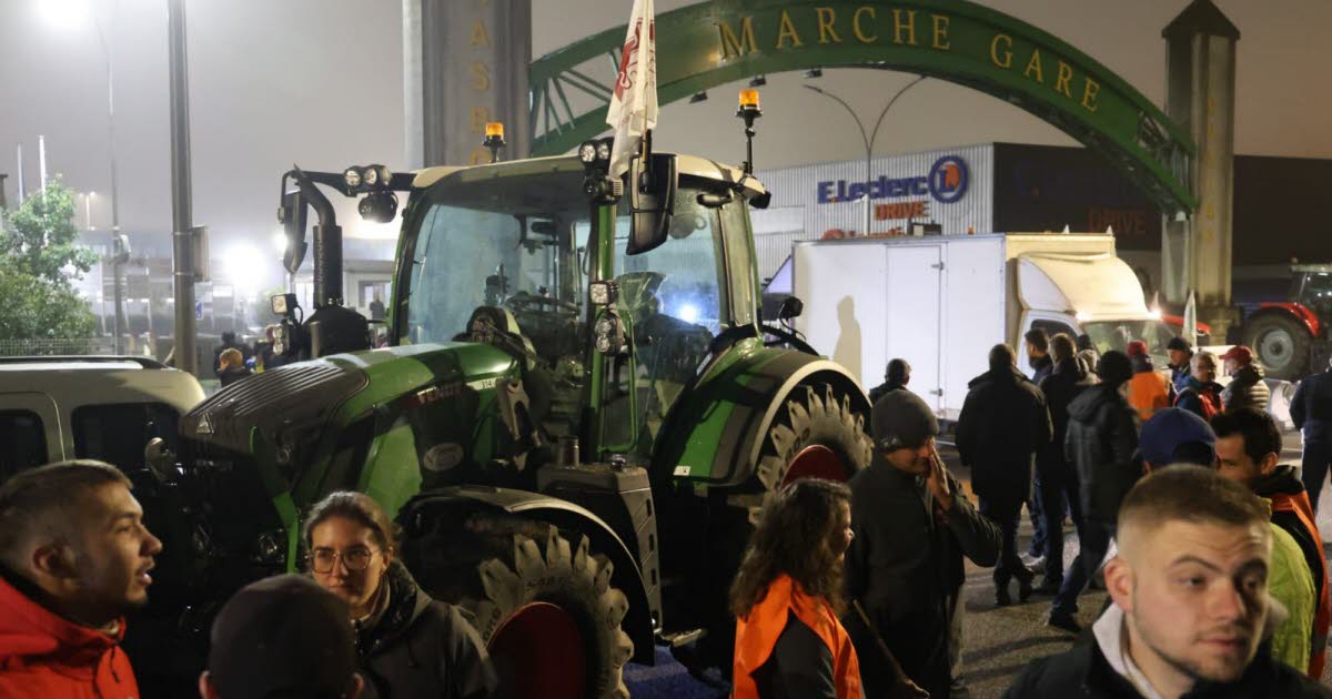 une opération de « contrôle » au Marché gare de Strasbourg