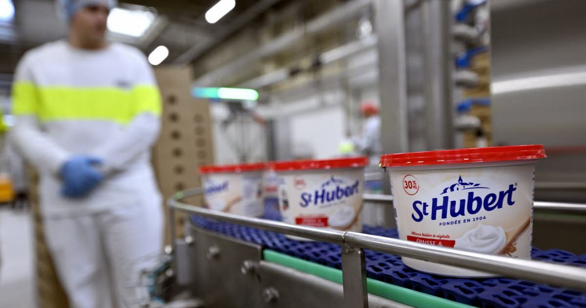 St Hubert a sorti un nouveau produit végétal pour concurrencer les fabricants de crème fraîche