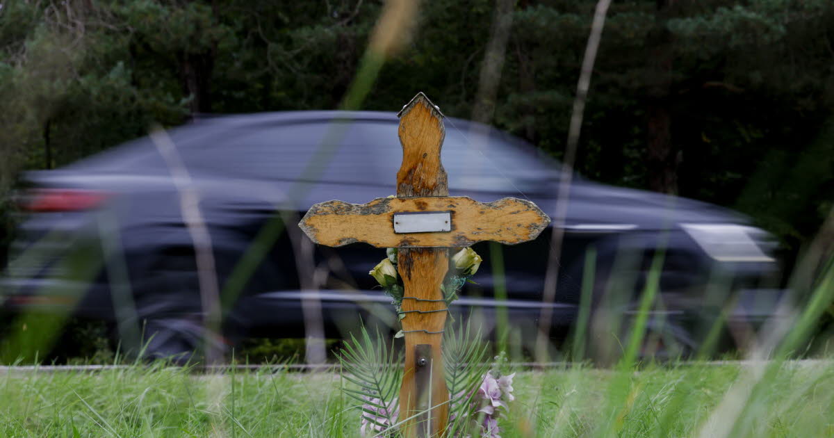 Une décennie d'accidents mortels en Alsace. Parmi les 737 tués, une très nette majorité d’hommes, souvent jeunes et en voiture