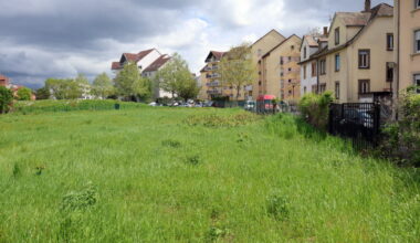 réfugiés attendus, une dauphine se lance, rififi à Illkirch