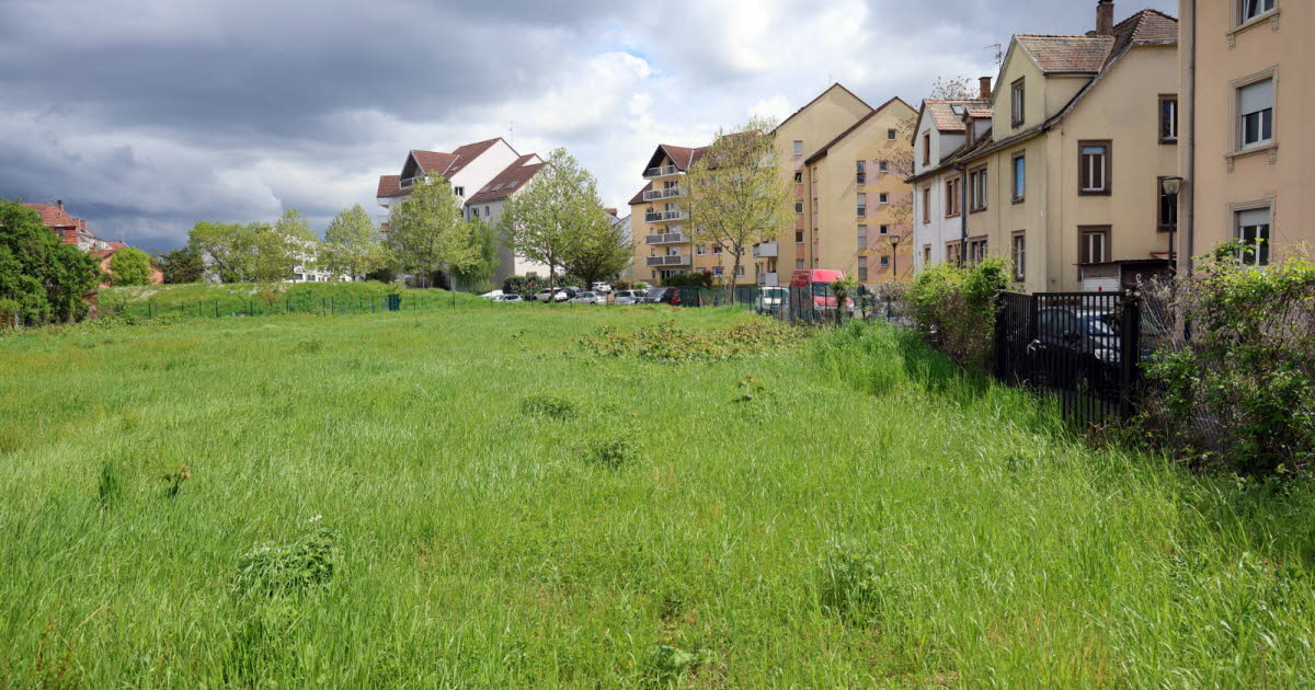 réfugiés attendus, une dauphine se lance, rififi à Illkirch
