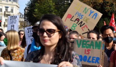 un peu plus de 700 personnes à Strasbourg, Guebwiller et Colmar