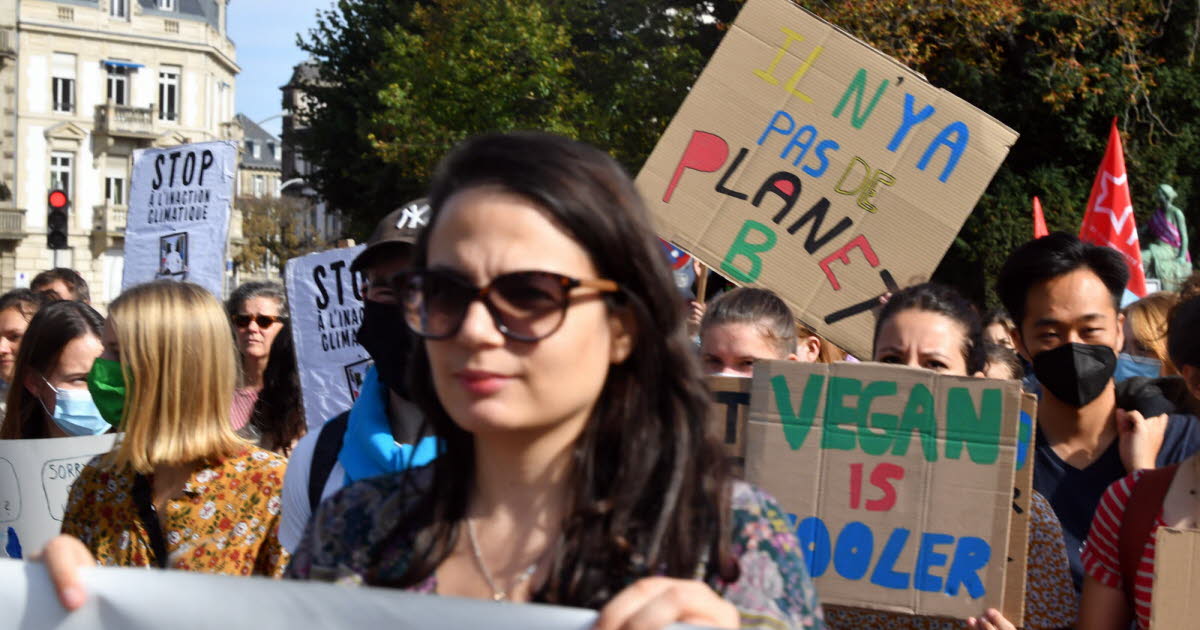 un peu plus de 700 personnes à Strasbourg, Guebwiller et Colmar