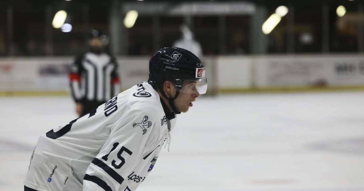 Hockey sur glace - Ligue Magnus. Emoussés après la bataille contre Briançon, les Rapaces de Gap sans solution face à Nice