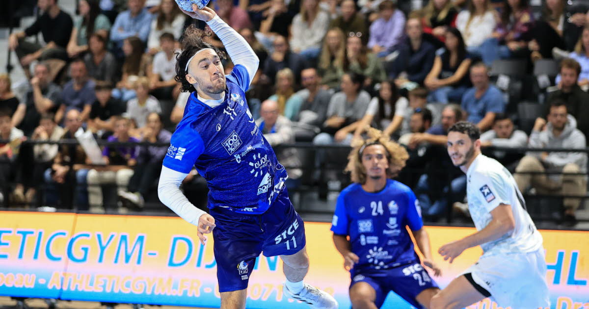 Starligue . Avec Nantes, la marche était trop haute pour le DMH