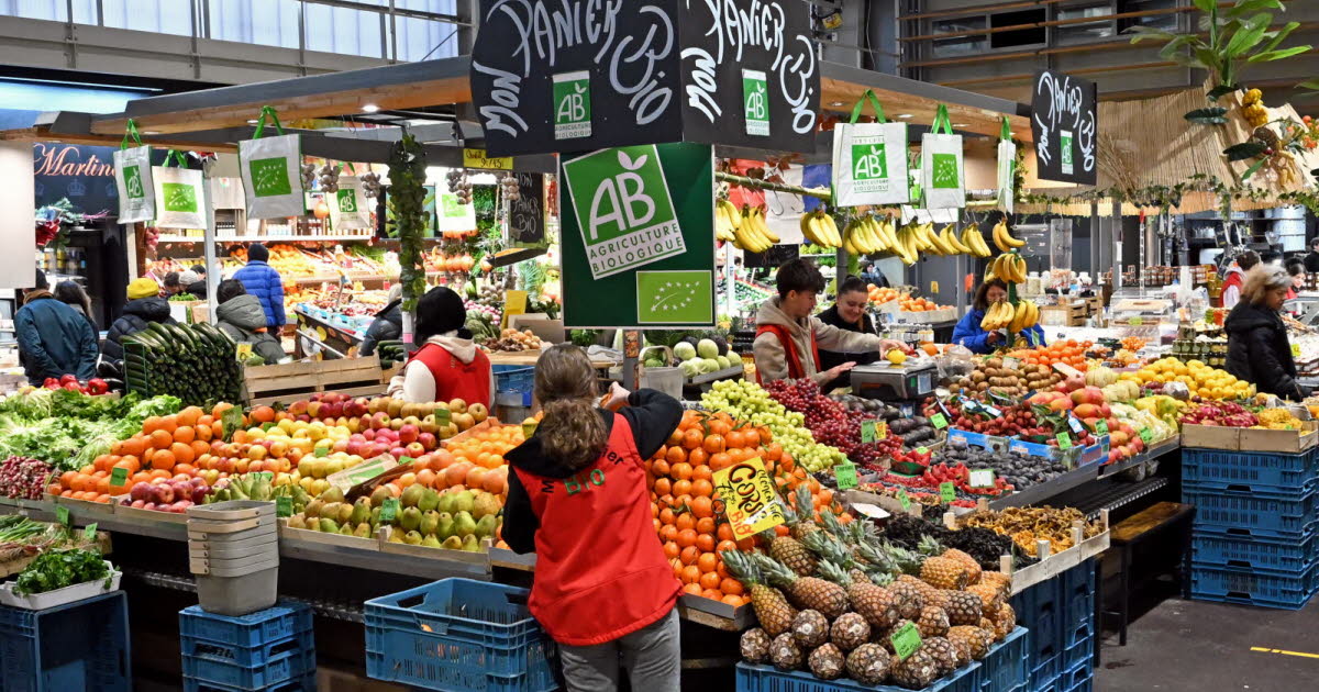 Nancy. Vers une transformation complète du marché central et une gestion privée dès 2027
