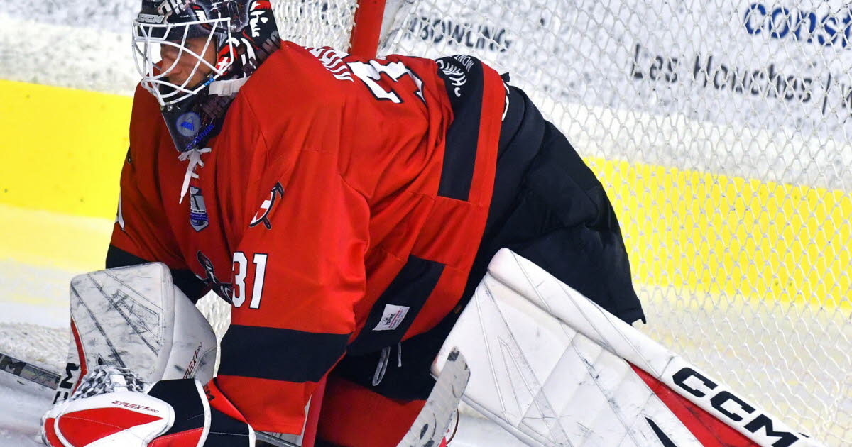 Hockey sur glace - Ligue Magnus. Un autre défi de taille pour les Pionniers face à Rouen