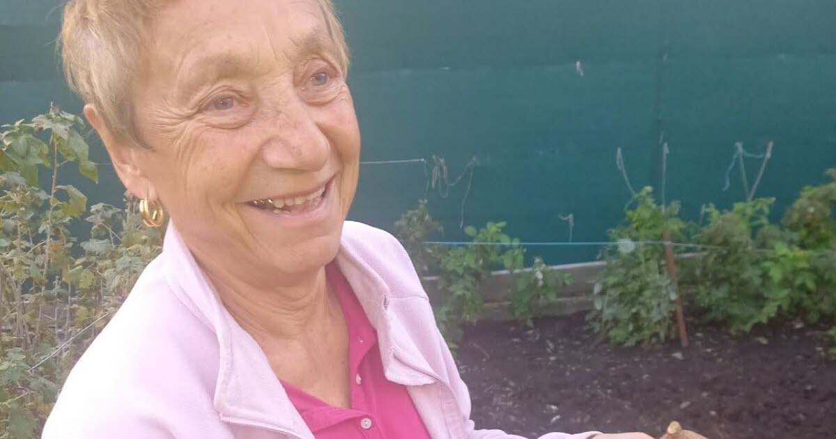 Loire. À l'Étrat, ils ramassent dans leur jardin une pomme de terre rouge de plus de 1,5 kg