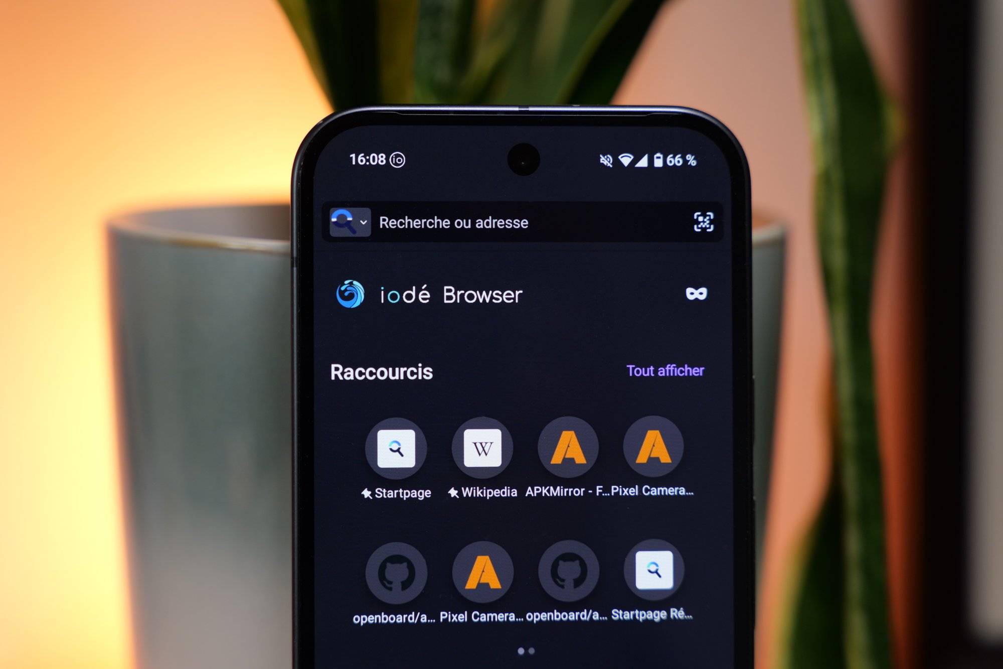 Pixel 9 Iode Navigateur