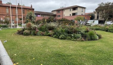 La rénovation d'une place dans ce quartier de Toulouse fait grincer des dents : la mairie s'explique