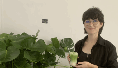 Un nouveau café à Nancy : Plantis, le coffee shop où l’on adopte aussi des plantes