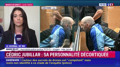 Procès de Cédric Jubillar : place à la personnalité de Delphine