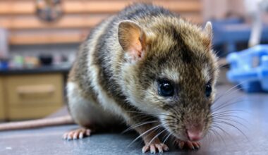 Qhaqiu5loi 1757068186