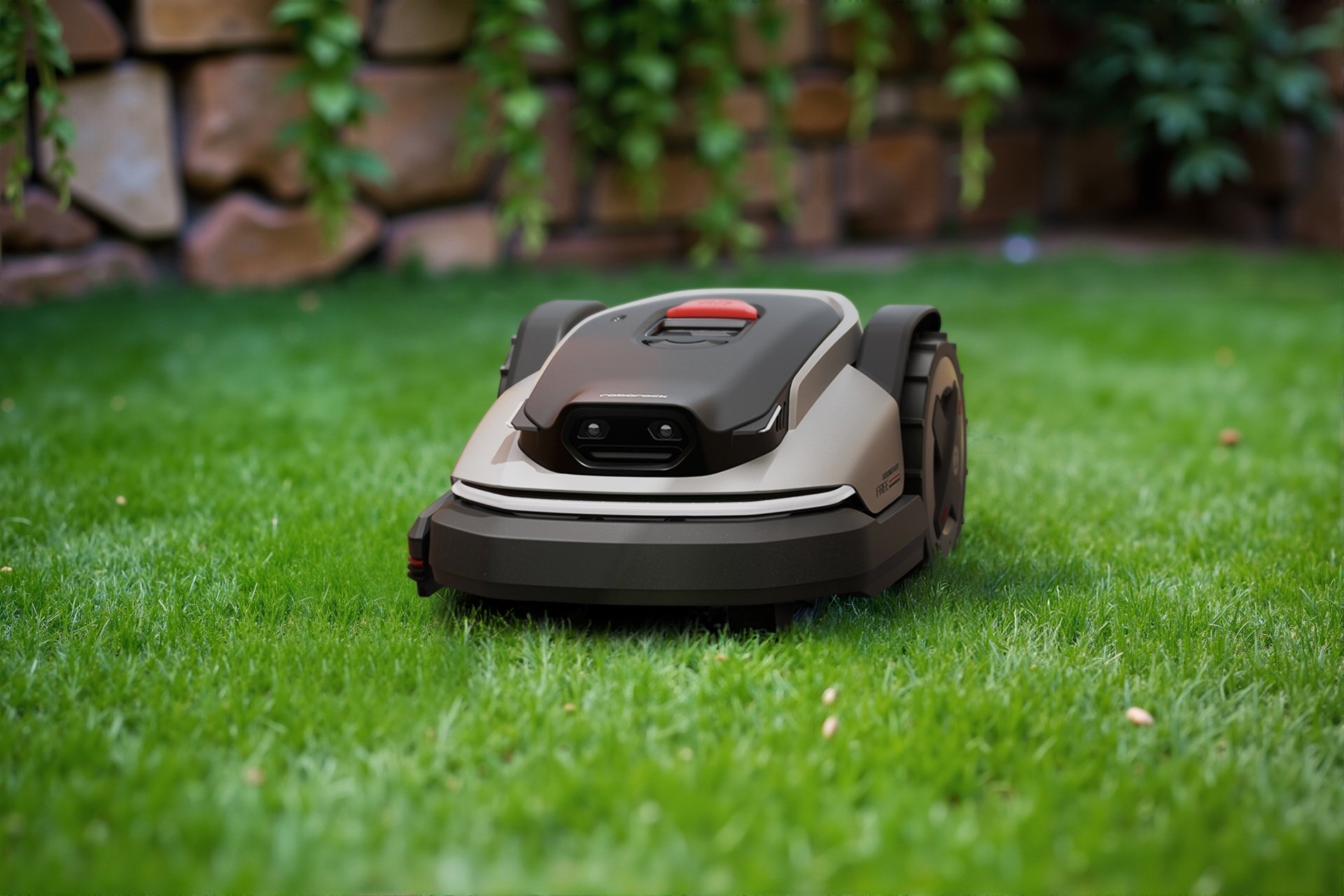 Rock Mow S1