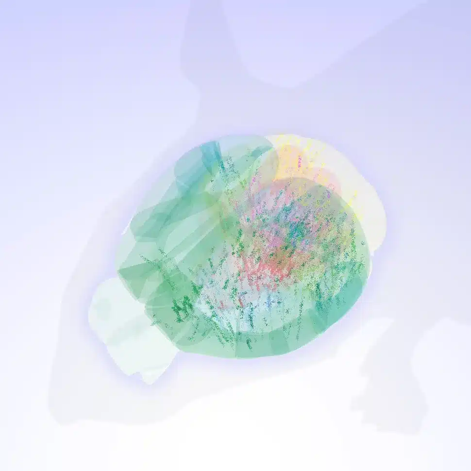 cerveau