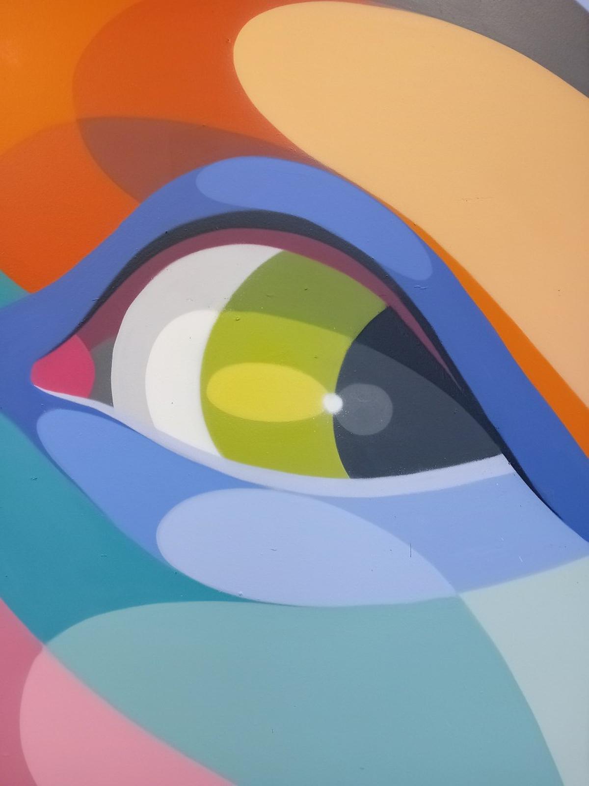 Regard, couleurs, ombres, transparences et courbes : les fondamentaux d’Alber.