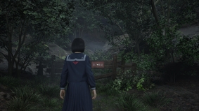 Silent Hill f