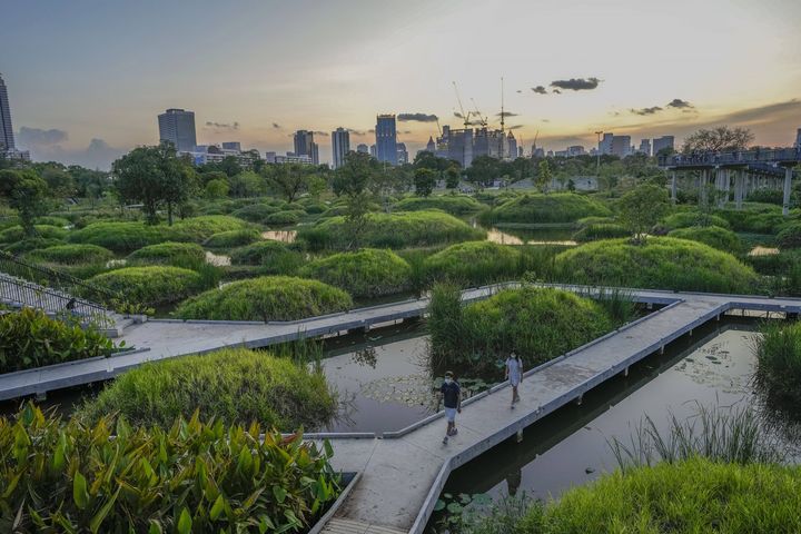 Le Benjakitti Park à Bangkok, en Thailande, le 1er avril 2022. Le lieu a été en partie conçu par les équipes du cabinet Turenscape de l'architecte paysagiste Kongjian Yu. (SAKCHAI LALIT / AP / SIPA)