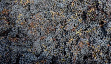Vins de Bordeaux. L’éventuel passage d’AOC en IGP, « un cas rarissime » soumis à plusieurs étapes