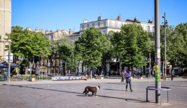 Un sexagénaire, menacé par 3 hommes armés d'une scie, victime d'un home-jacking à Marseille