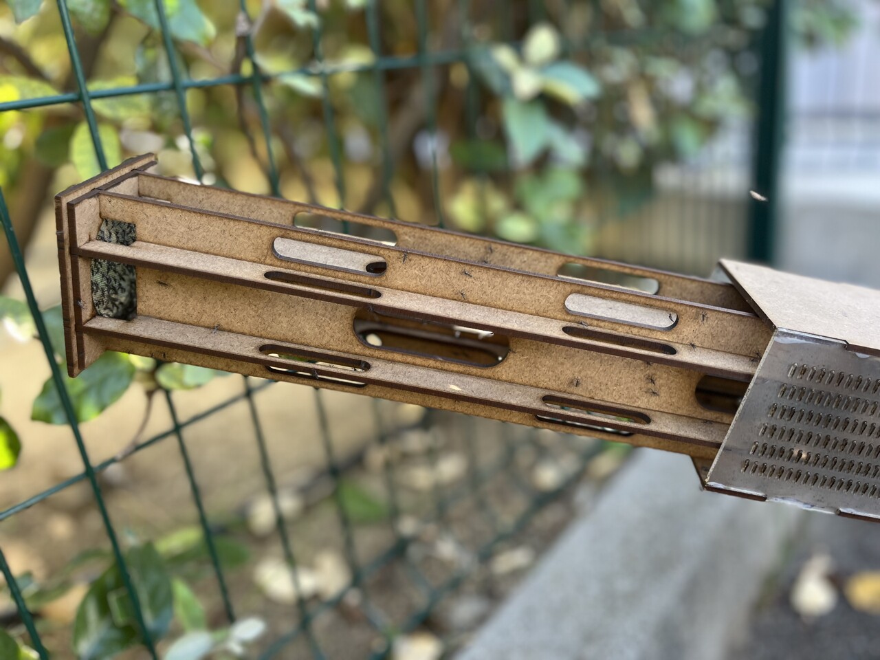 pourquoi des milliers de moustiques sont lâchés près de chez vous