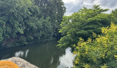 Météo. Les températures remontent (un peu) à Toulouse et en Occitanie ce dimanche, malgré la grisaille