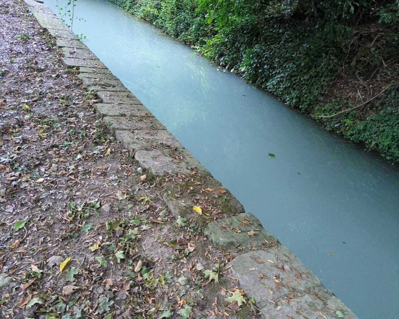 pourquoi le Robec a pris une couleur laiteuse pendant plusieurs heures ?